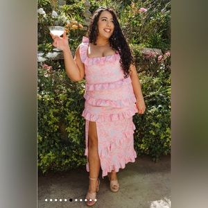 Show Me Your MuMu Greta Dress in blushing floral stretch